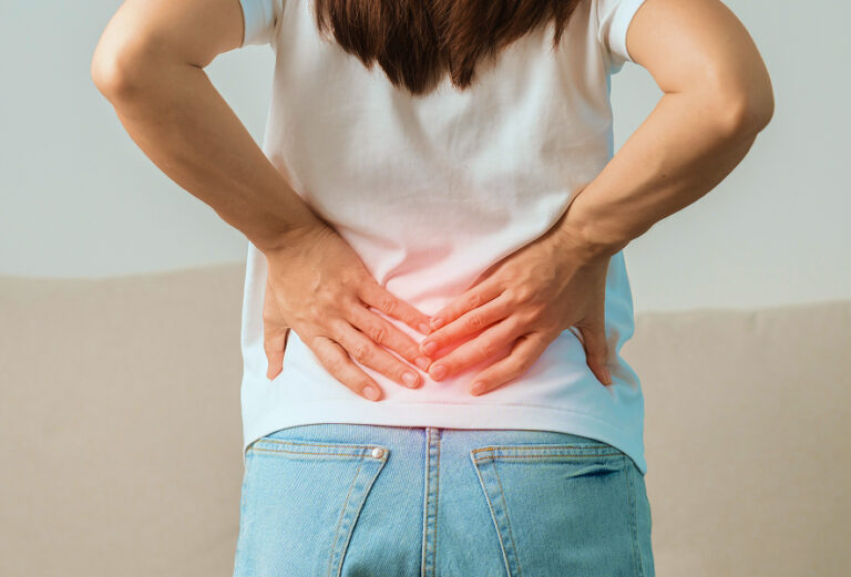Spine 2