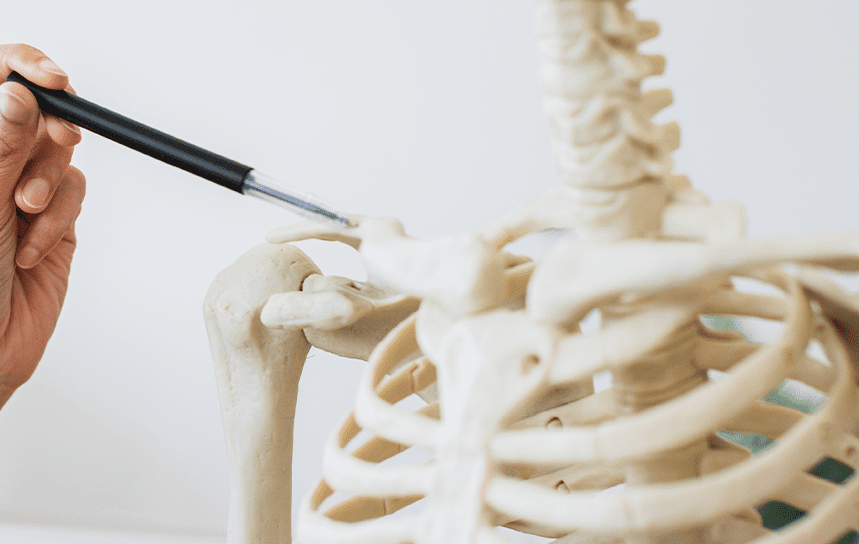 Sternoclavicular Joint Injury