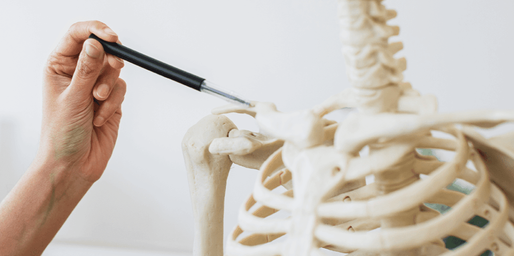 Sternoclavicular Joint Injury w alpha