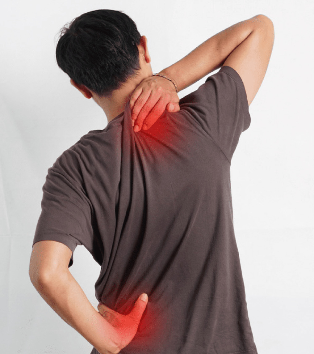 Neck and Back Pain Screening Package
